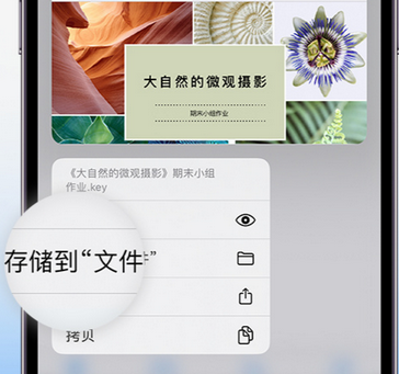 开原apple维修中心分享iPhone文件应用中存储和找到下载文件