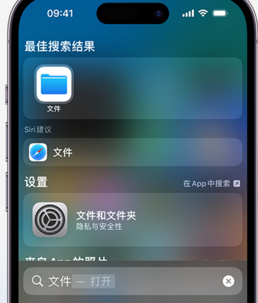 开原apple维修中心分享iPhone文件应用中存储和找到下载文件