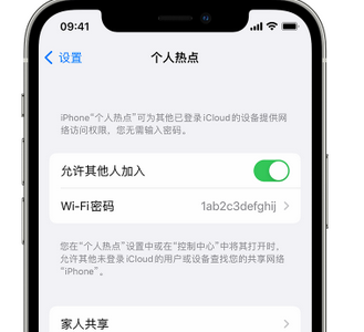 开原apple服务站点分享iPhone上个人热点丢失了怎么办 