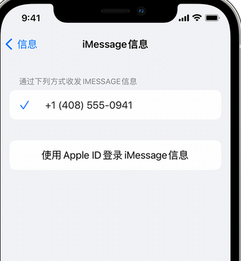 开原apple维修iPhone上无法正常发送iMessage信息 