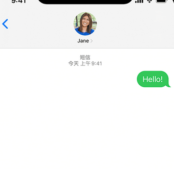 开原apple维修iPhone上无法正常发送iMessage信息