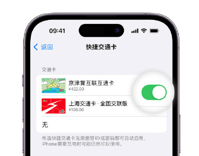 开原apple维修点分享iPhone上更换Apple Pay快捷交通卡手绘卡面 