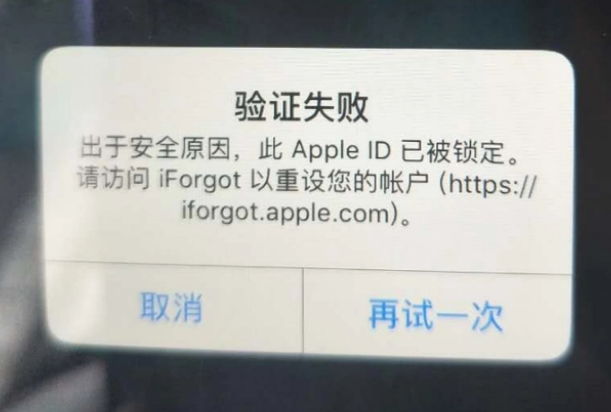 开原iPhone维修分享iPhone上正常登录或使用AppleID怎么办 