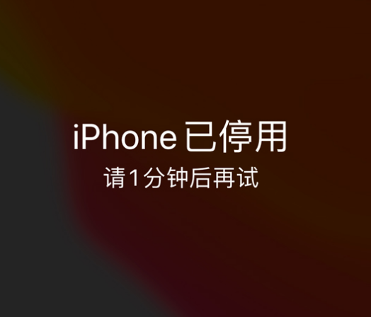 开原苹果手机维修分享:iPhone 显示“不可用”或“已停用”怎么办？还能保留数据吗？ 