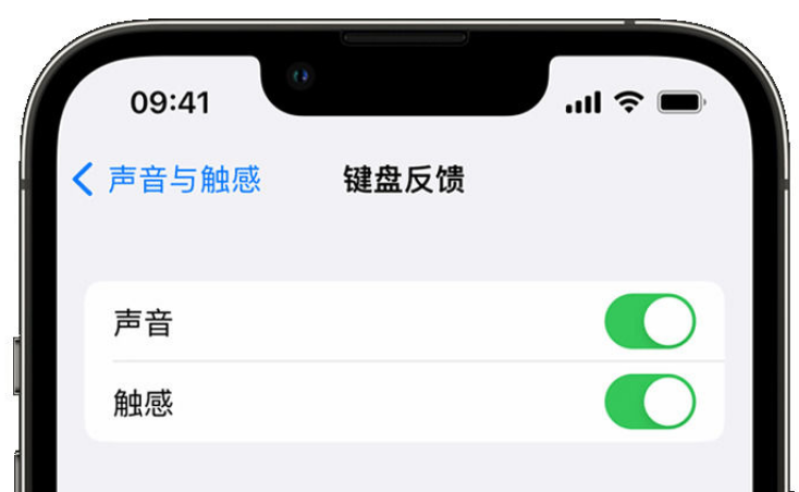 开原苹果手机维修分享iPhone 14触感键盘使用方法 