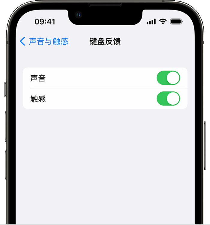 开原苹果14维修店分享如何在 iPhone 14 机型中使用触感键盘 