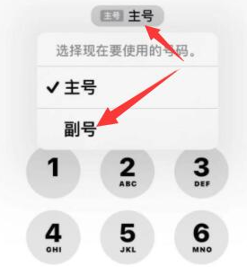 开原苹果14维修店分享iPhone 14 Pro Max使用副卡打电话的方法 