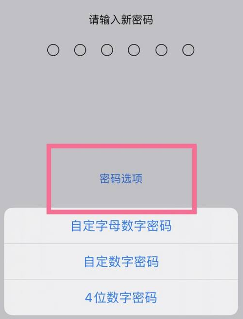 开原苹果14维修分享iPhone 14plus设置密码的方法 