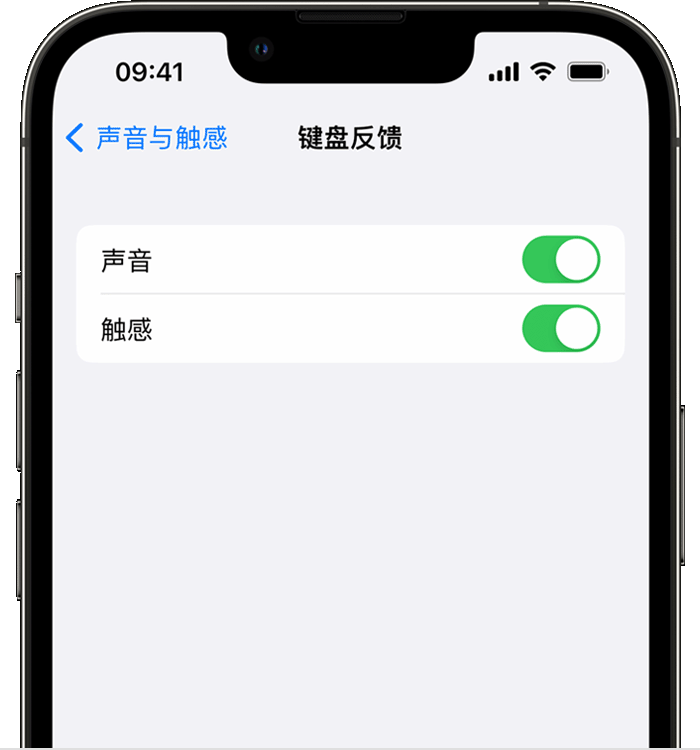 开原苹果14维修分享iPhone 14 系列机型如何开启键盘声音或触感反馈 