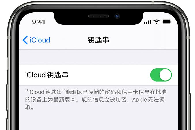 开原苹果手机维修分享在 iPhone 上开启 iCloud 钥匙串之后会储存哪些信息 