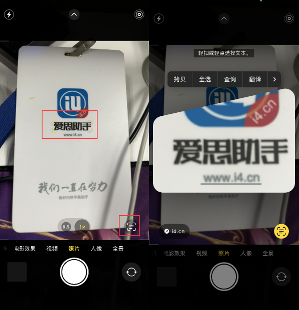 开原苹果手机维修分享升级iOS 16后如何通过相机翻译文本 