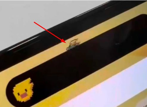 开原苹果14维修分享iPhone 14 Pro Max灵动岛怎么养宠物 