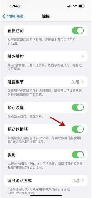 开原苹果手机维修分享iPhone手机如何设置摇一摇删除文字 