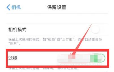 开原苹果13维修分享iPhone13拍照有绿点是怎么回事 