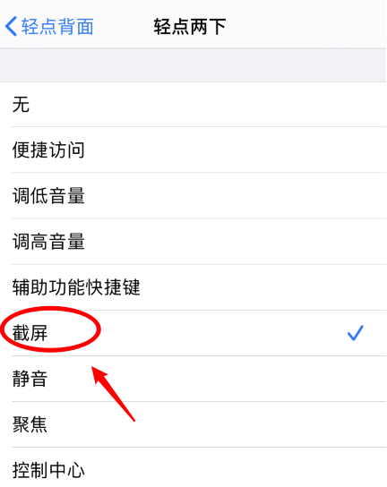 开原苹果手机维修分享iPhone12如何启用双击截屏 