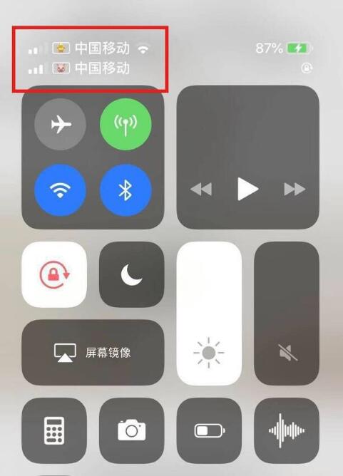 开原苹果手机维修分享为 iPhone 12 双卡设置标签 