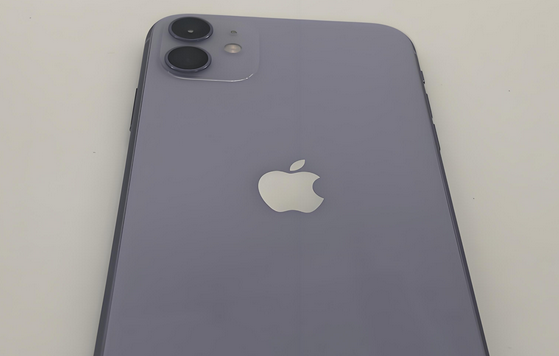 开原苹果11系统维修分享iPhone11手机系统崩溃无法开机如何解决